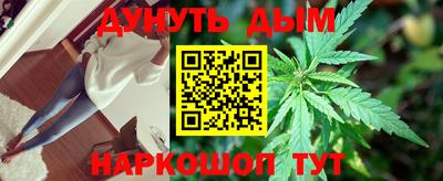 каннабис Кингисепп