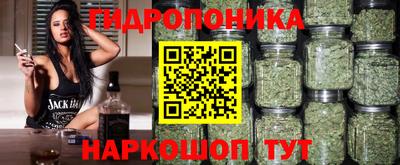 круглые Кимры